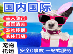 无锡航空运输国际宠物托运 【国